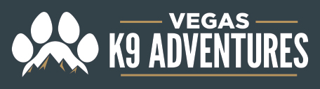 vegask9adventures