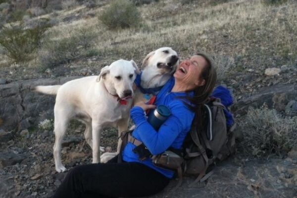 dog behavior modification