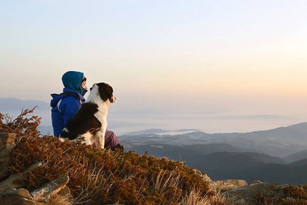 Dog hiking and adventure walks